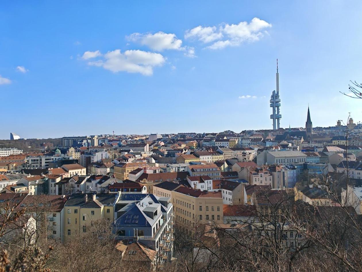 Appartamento In Zizkov -504- *